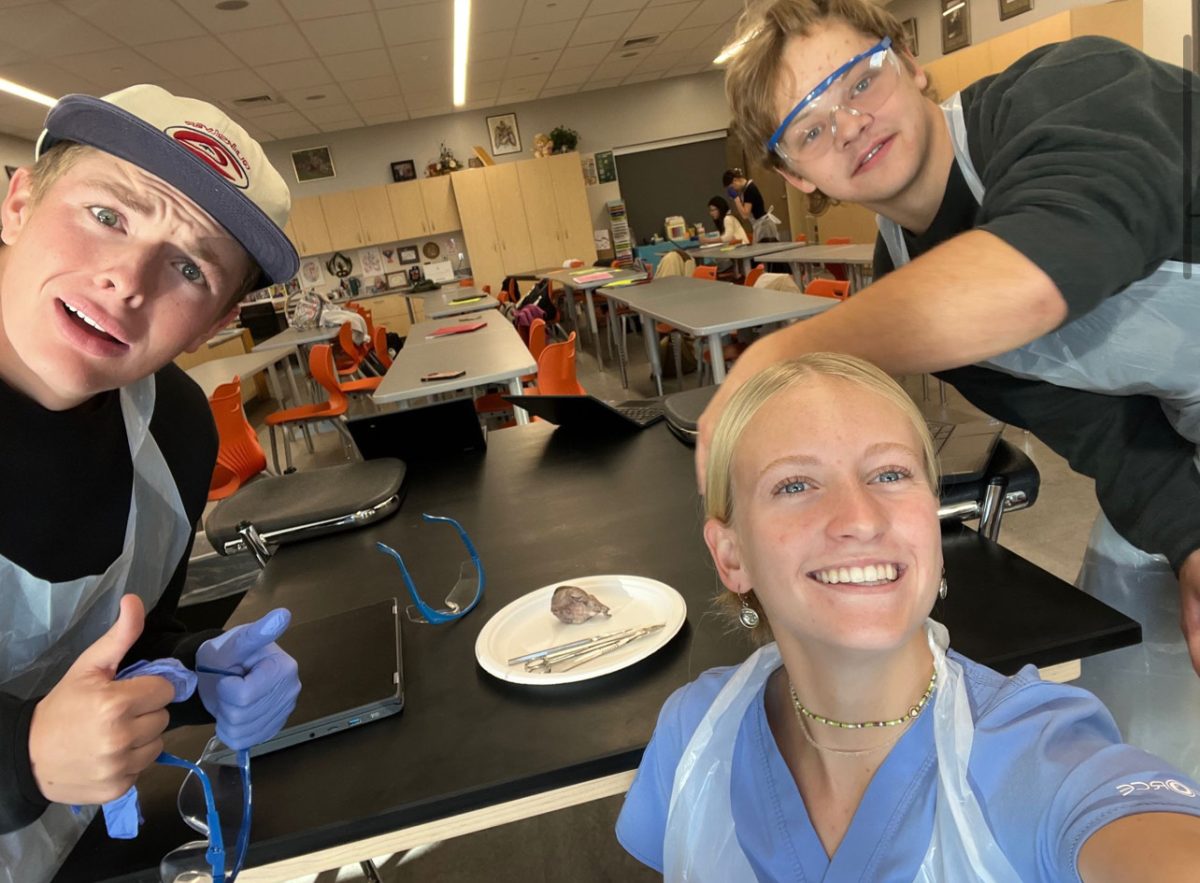 A Look Into Timpview's Medical Assisting & Internships