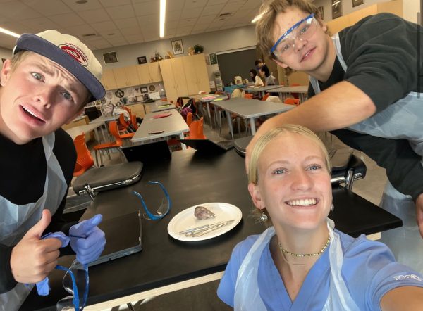 A Look Into Timpview’s Medical Assisting & Internships