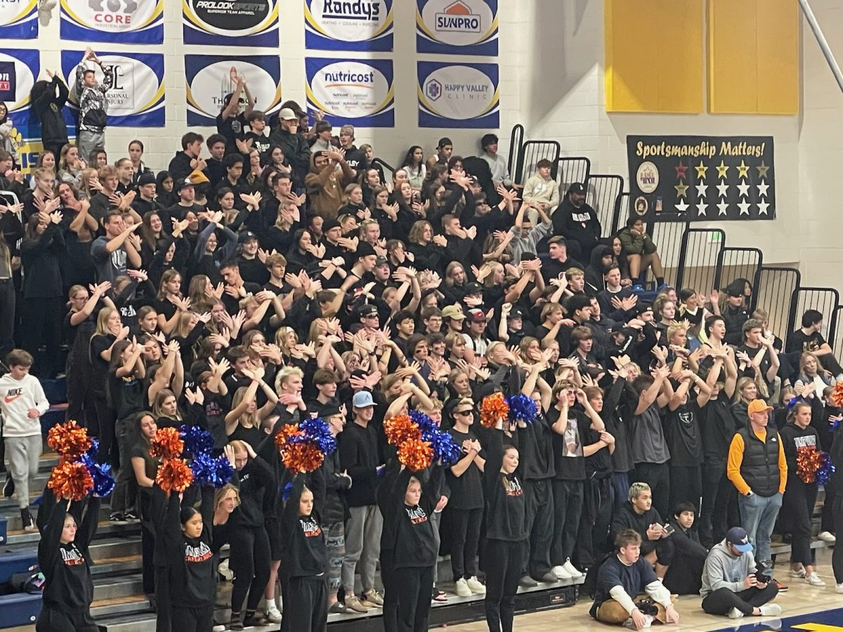 Timpview Student section during the Orem game in 2023