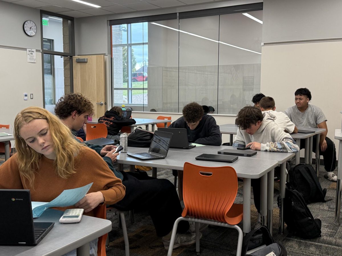 The American Literacy Crisis