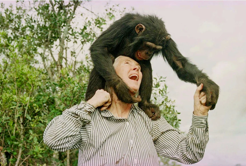 Jane Goodall, Chimpanzee Researcher and Global Activist, Dies at 91