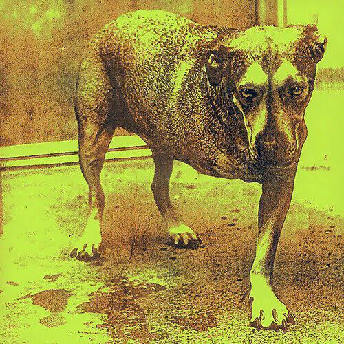 Cover of "Alice in Chains"