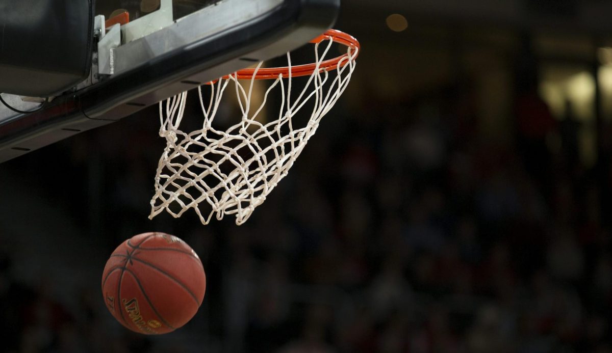 Timpview Girls Basketball VS Westlake : Recap