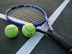 Upcoming Boys Tennis Season