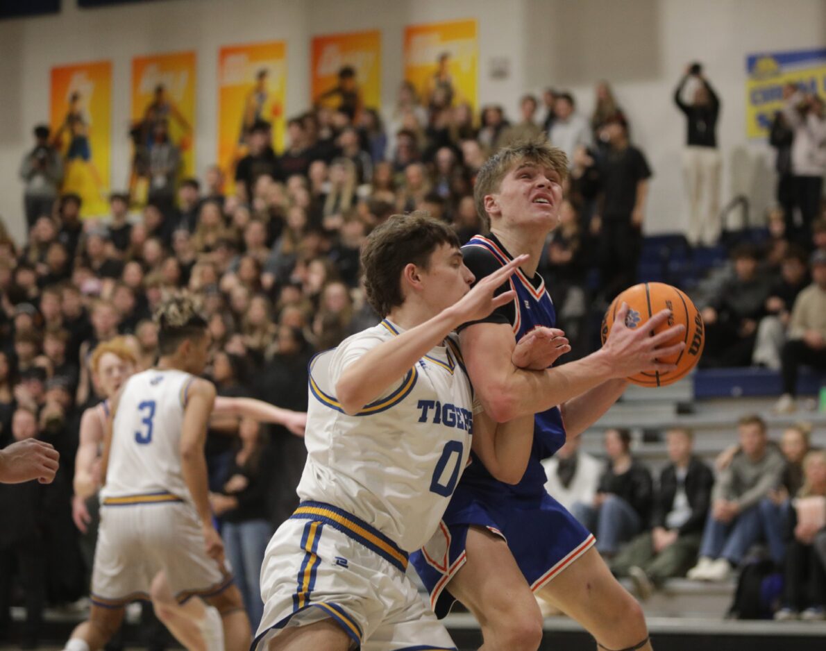 From the Daily Herald