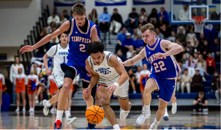 Timpview Boys Basketball State Playoffs Preview